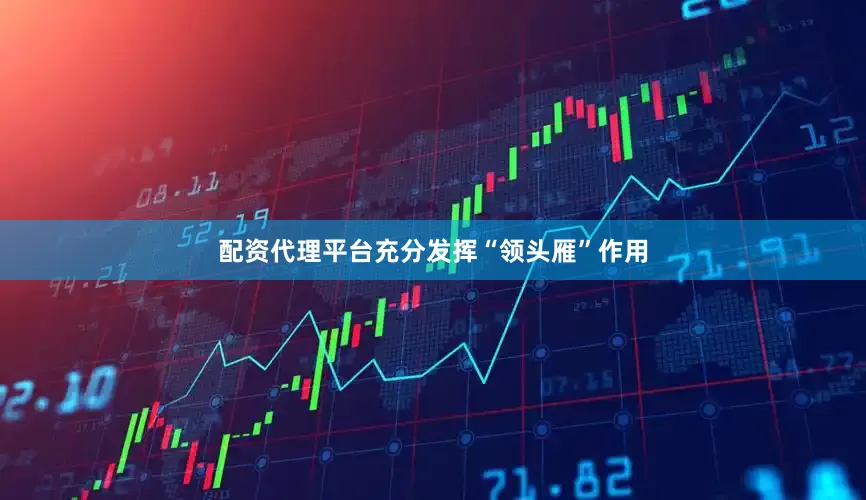 配资代理平台充分发挥“领头雁”作用