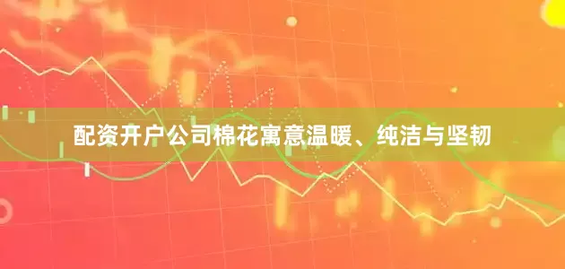 配资开户公司棉花寓意温暖、纯洁与坚韧