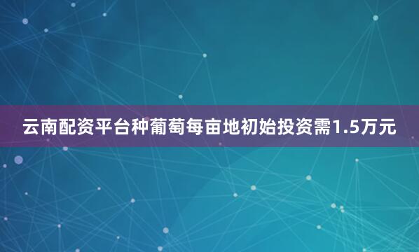 云南配资平台种葡萄每亩地初始投资需1.5万元